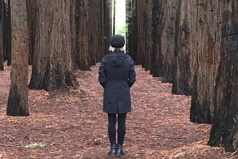 Private Aqueduct To California Redwoods Hiking Tour - Attractions Perth 1