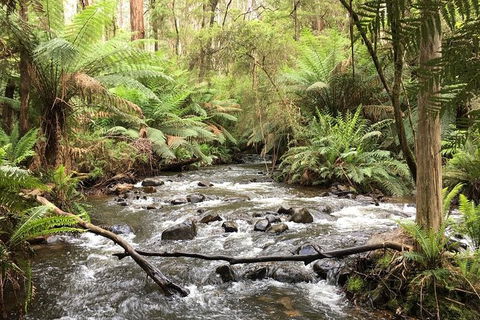 Private Aqueduct To California Redwoods Hiking Tour - Attractions Perth 3