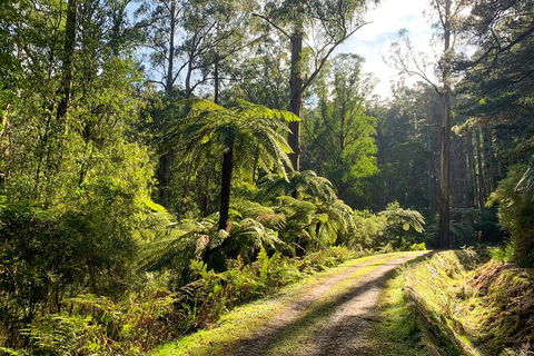 Private Aqueduct To California Redwoods Hiking Tour - Attractions Perth 0