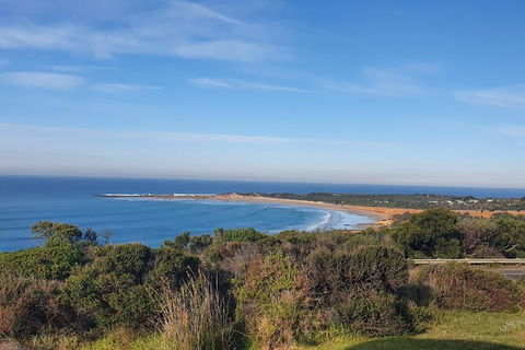 Private Great Ocean Road And Chocolaterie Tour With Tasting - Attractions Perth 5