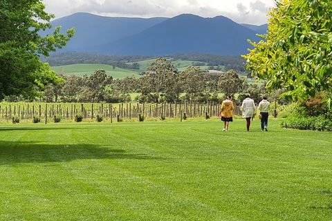 Yarra Valley Wine Tasting Day Tour From Melbourne - Attractions Perth 6