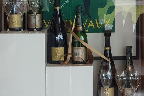 Yarra Valley Wine Tasting Day Tour From Melbourne - Attractions Perth 2