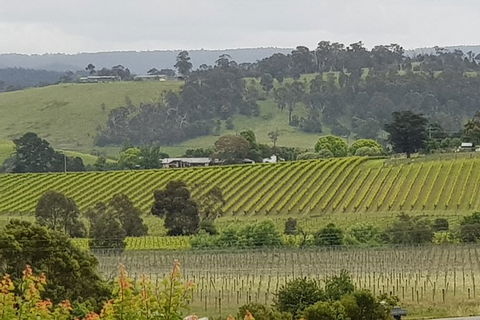 Yarra Valley Wine Tasting Day Tour From Melbourne - Attractions Perth 0
