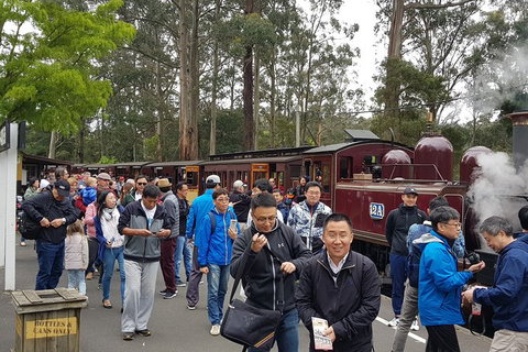Day Tour Of Yarra Valley Puffing Billy And Rayners Orchard - Attractions Perth 3