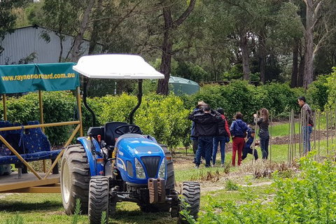 Day Tour Of Yarra Valley Puffing Billy And Rayners Orchard - Attractions Perth 10