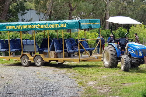 Day Tour Of Yarra Valley Puffing Billy And Rayners Orchard - Attractions Perth 48