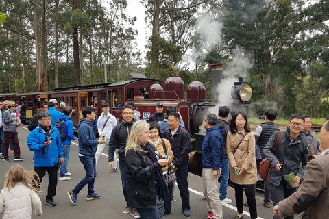 Day Tour Of Yarra Valley Puffing Billy And Rayners Orchard - Attractions Perth 18