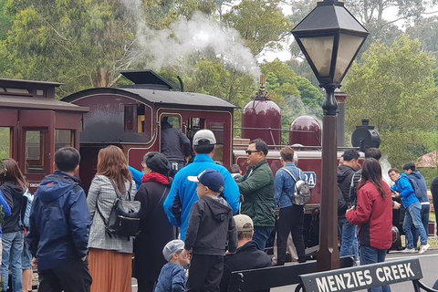 Day Tour Of Yarra Valley Puffing Billy And Rayners Orchard - Attractions Perth 40