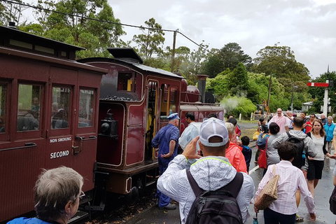 Day Tour Of Yarra Valley Puffing Billy And Rayners Orchard - Attractions Perth 23