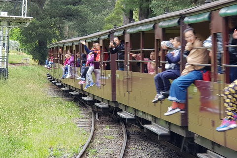 Day Tour Of Yarra Valley Puffing Billy And Rayners Orchard - Attractions Perth 13