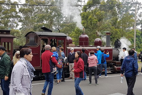 Day Tour Of Yarra Valley Puffing Billy And Rayners Orchard - Attractions Perth 4