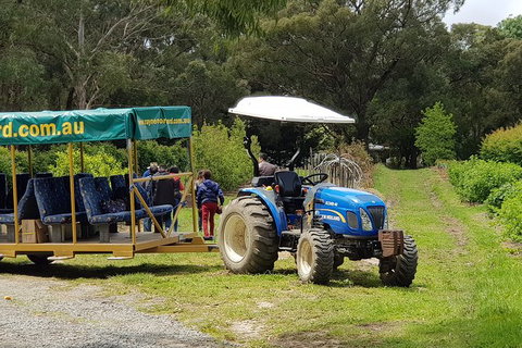 Day Tour Of Yarra Valley Puffing Billy And Rayners Orchard - Attractions Perth 25
