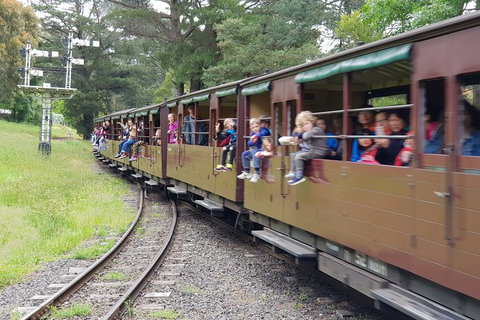 Day Tour Of Yarra Valley Puffing Billy And Rayners Orchard - Attractions Perth 24