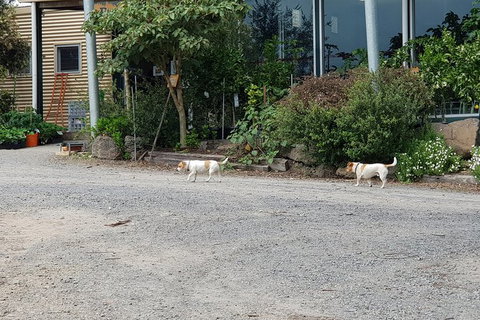 Day Tour Of Yarra Valley Puffing Billy And Rayners Orchard - Attractions Perth 21