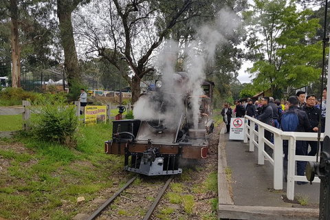 Day Tour Of Yarra Valley Puffing Billy And Rayners Orchard - Attractions Perth 43