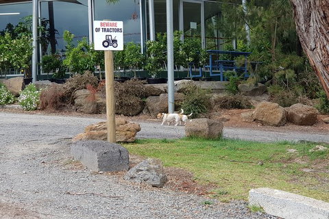 Day Tour Of Yarra Valley Puffing Billy And Rayners Orchard - Attractions Perth 2