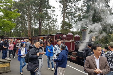 Day Tour Of Yarra Valley Puffing Billy And Rayners Orchard - Attractions Perth 12