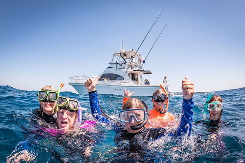 Life On Ningaloo Swimming Tour In Exmouth - Attractions Perth 4