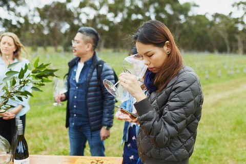 Organic Vineyard/Farm Tour - Attractions Perth 1