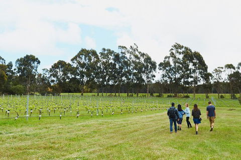 Organic Vineyard/Farm Tour - Attractions Perth 7