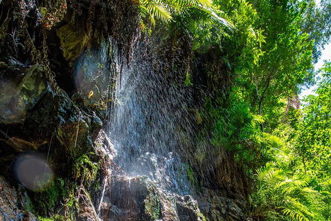 Secret Locations Tour - Attractions Perth 6