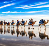 Broome Pre-sunset Camel Tour 30 minutes - Attractions Perth