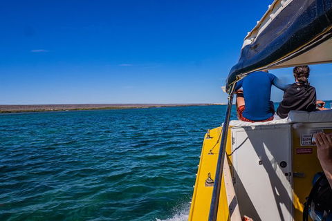 Ningaloo Immersion Private Charter - Attractions Perth 0