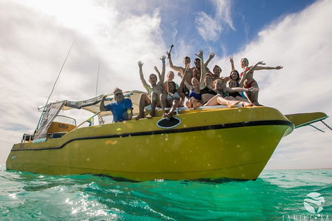 Ningaloo Immersion Private Charter - Attractions Perth 9