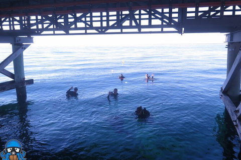 PADI Open Water Course - Attractions Perth 3
