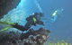 PADI Open Water Course - thumb 2