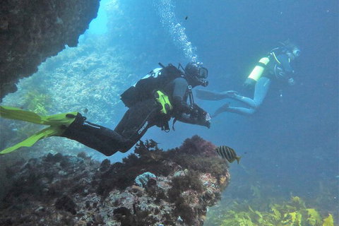 PADI Open Water Course - Attractions Perth 2