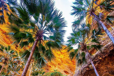 Bungles Day Trek Extended (with Echidna Chasm) - Attractions Perth 1