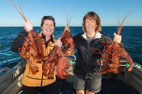 Abrolhos Islands 5 Day Tours - Attractions Perth 1