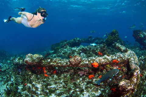 Abrolhos Islands 5 Day Tours - Attractions Perth 3