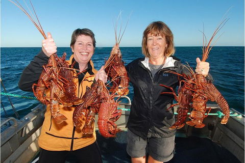 Abrolhos Islands 5 Day Tours - Attractions Perth 0