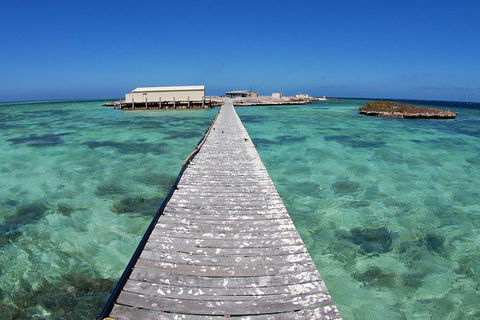Abrolhos Islands 5 Day Tours - Attractions Perth 4