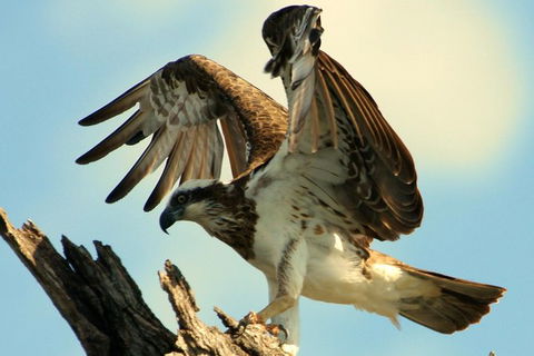 Ord River Discoverer With Sunset - Attractions Perth 1