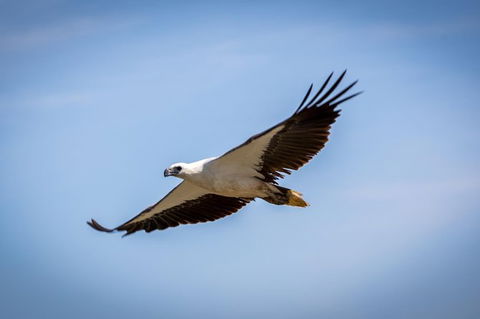 Ord River Discoverer With Sunset - Attractions Perth 4