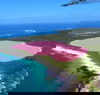 Lake Hillier-Middle Island Scenic Flight from Esperance - Attractions Perth