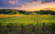 Swan Valley Sunset Wine Tour - Premium Small Group Tour - thumb 0