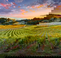 Swan Valley Sunset Wine Tour - Premium Small Group Tour - Attractions Perth