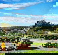 Bickley Valley Wine  Cider Tour - Premium Small Group Tour - Attractions Perth