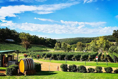Bickley Valley Wine & Cider Tour - Premium Small Group Tour - Attractions Perth 0