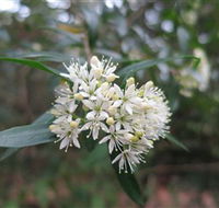 Booderee National Park - Attractions Perth