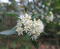 Booderee National Park