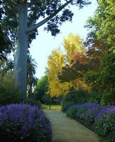  Attractions Perth