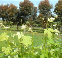 Barwon Ridge Wines - Attractions Perth