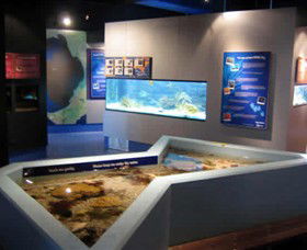 Marine And Freshwater Discovery Centre - Attractions Perth 0