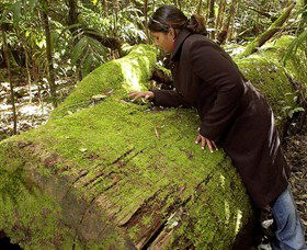  Attractions Perth