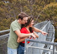 Valley of the Giants Tree Top Walk - Attractions Perth